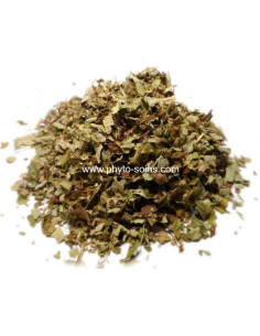 Sachet de Ronce BIO (Rubus fruticosus) 50g pour tisane phytofrance par phyto-soins