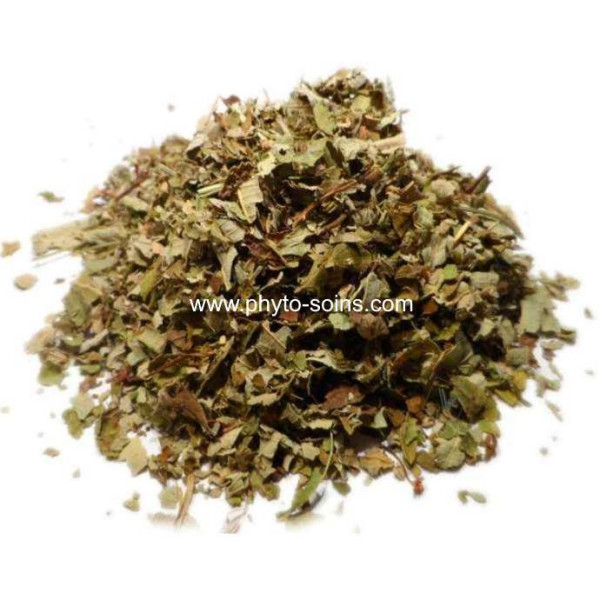 Sachet de Ronce BIO (Rubus fruticosus) 50g pour tisane phytofrance par phyto-soins