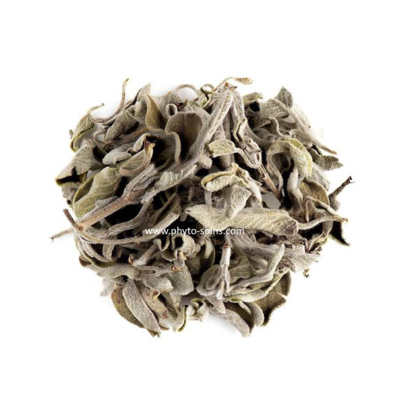 Sachet de Sauge officinale BIO (feuille 1er choix) 50g pour tisane phytofrance par phyto-soins