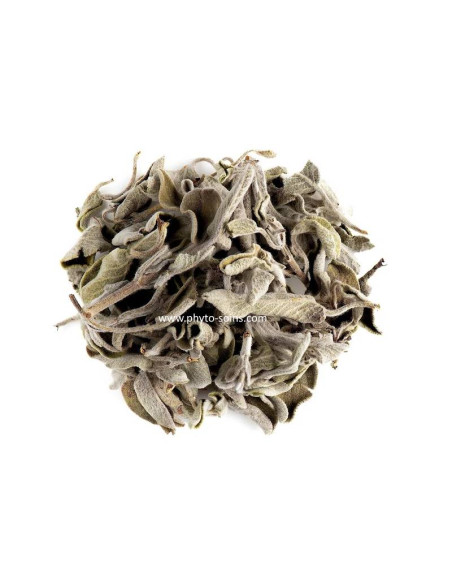 Sachet de Sauge officinale BIO (feuille 1er choix) 50g pour tisane phytofrance par phyto-soins