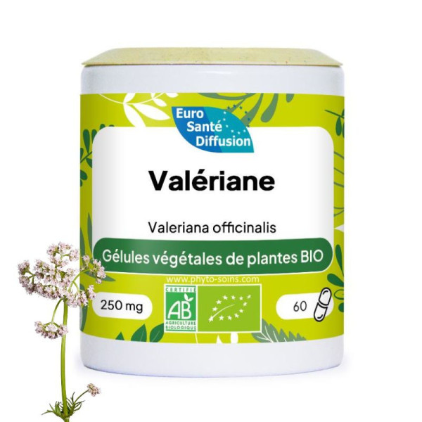 Boite de 60 ou 250 gélules de Valériane (Valeriana officinalis) BIO 250mg phytofrance