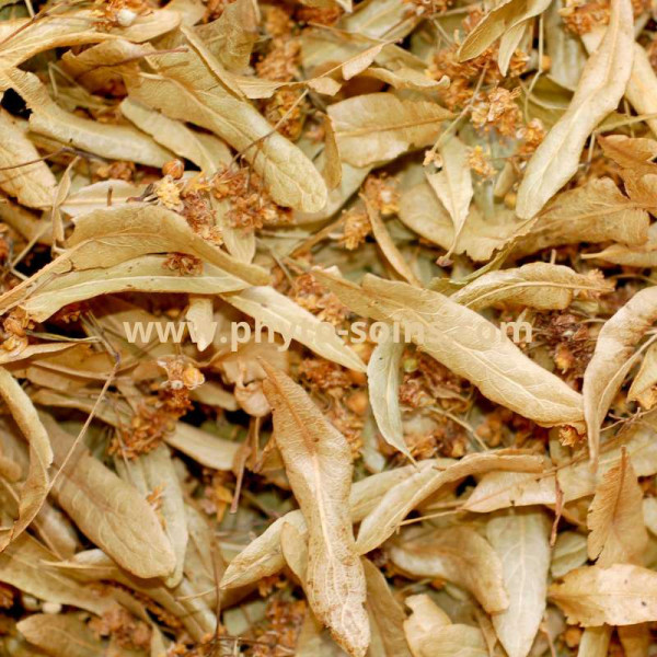 Sachet de Tilleul Carpentras BIO bractée...