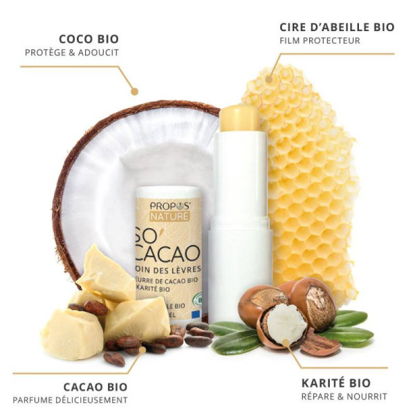 Baume à lèvres So'Cacao certifié BIO Propos nature par phyto-soins