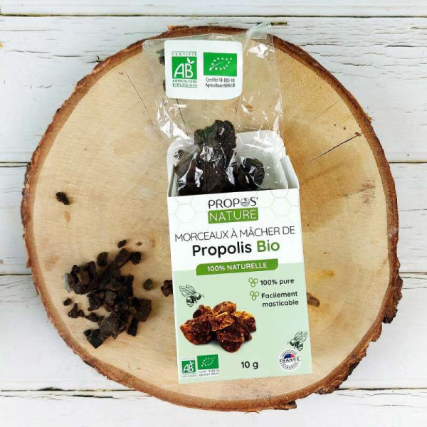 Morceaux de Propolis Pure à Mâcher Bio - Propos-nature par phyto-soins