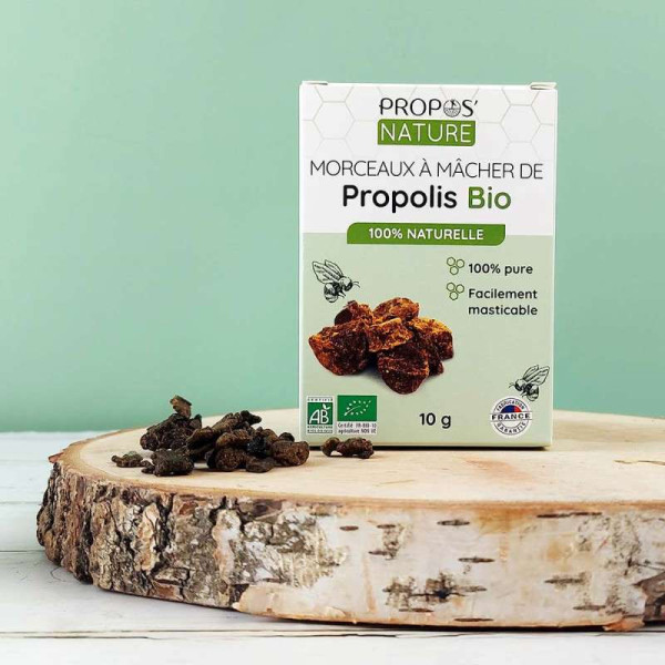 Morceaux de Propolis Pure à Mâcher Bio - Propos-nature par phyto-soins