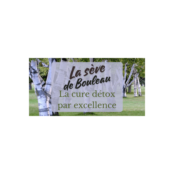 Sève de bouleau BIO des Pyrenees - Phytofrance