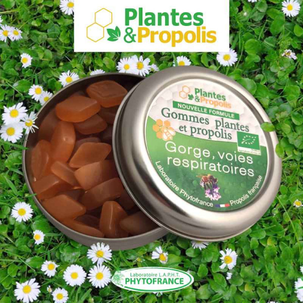 Gomme de plantes et Propolis (gorge et voies respiratoires) BIO - Phytofrance