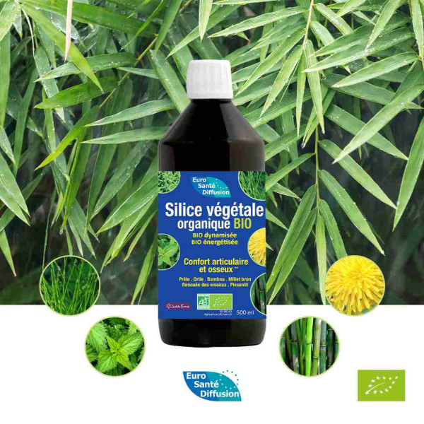 Silice Végétale Organique BIO - Phytofrance par phyto-soins