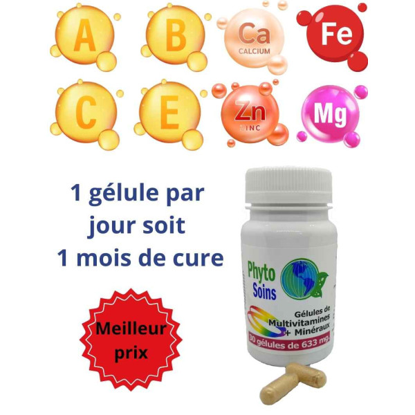 30 Gélules multi- vitamines et minéraux (1 mois) - Phyto-soins