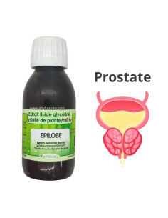 Extrait fluide glycériné d'Épilobe fraîche et BIO - Phytofrance