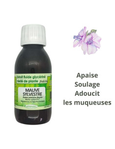 Extrait fluide glycériné miellé de Mauve (Malva sylvestris) fraîche et BIO - Phytofrance