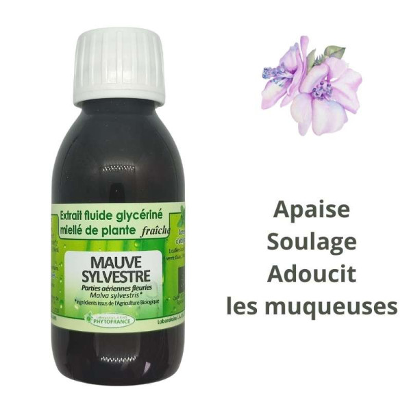 Extrait fluide glycériné miellé de Mauve (Malva sylvestris) fraîche et BIO - Phytofrance