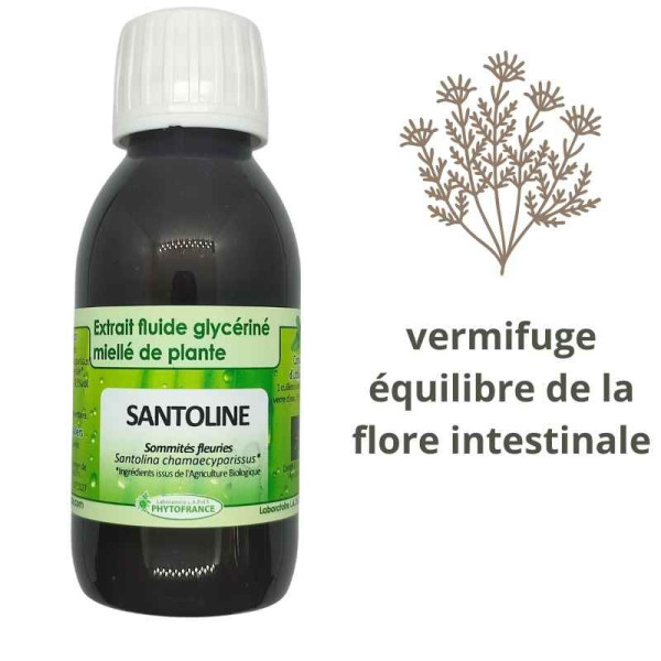 Extrait fluide glycériné miellé de Santoline (Santolina chamaecyparissus) BIO - Phytofrance