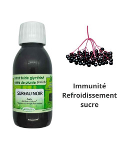 Extrait fluide glycériné miellé de Sureau noir (Sambucus nigra) frais et BIO - Phytofrance