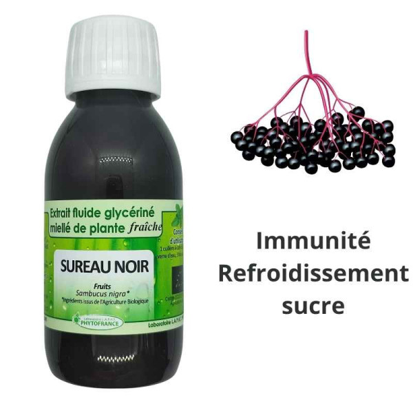Extrait fluide glycériné miellé de Sureau noir (Sambucus nigra) frais et BIO - Phytofrance