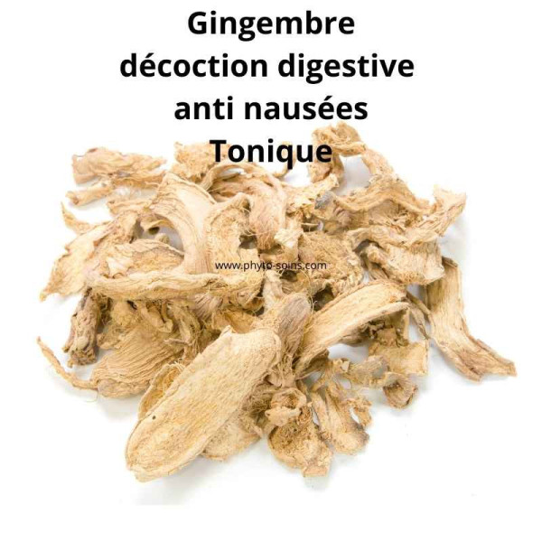 Racine de Gingembre coupée (Zingiber officinalis) BIO ou tradi - Phytofrance