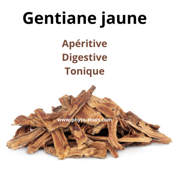 Tisane de Gentiane BIO (racine coupée) - 100g - Phytofrance