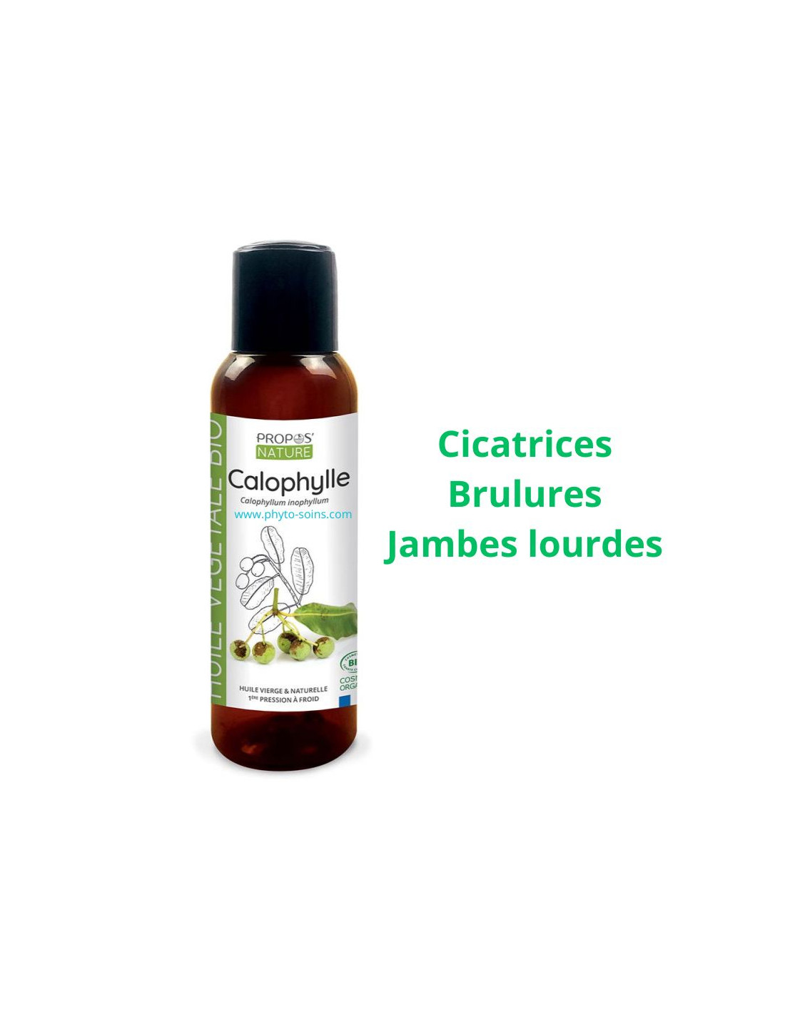 Huile Végétale de Calophylle (Tamanu) BIO cosmos organic - Propos nature