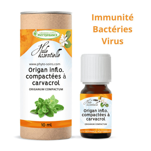 Huile essentielle d'Origan à inflorescences compactes BIO, pure et naturelle Phytofrance par phyto-soins.com