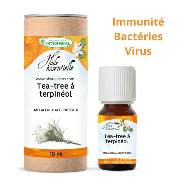 Huile essentielle de tea tree arbre à thé pure et naturelle | phytofrance