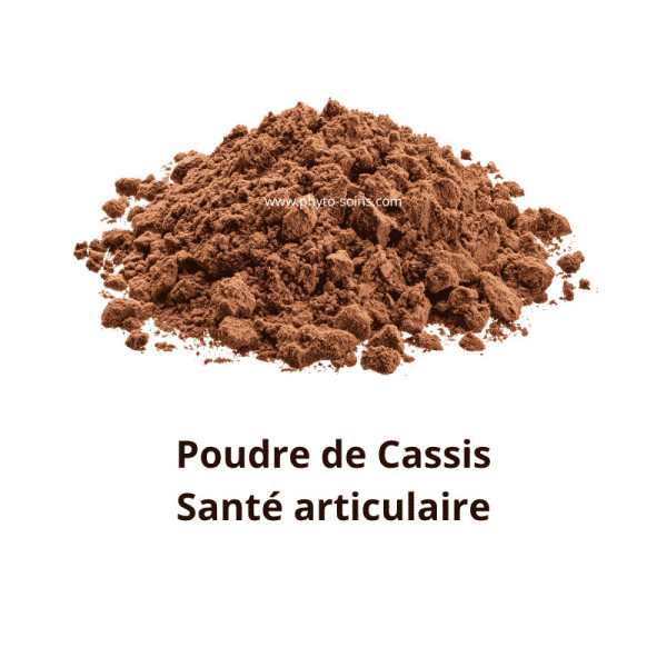 Sachet de poudre de feuille de Cassis BIO 100g - Phytofrance par phyto-soins.com