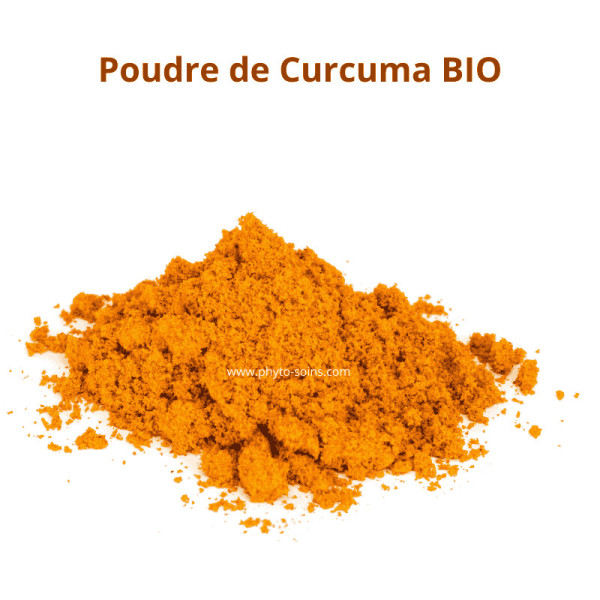 Sachet de Curcuma BIO en poudre (Curcuma longa) - Phytofrance par phyto-soins.com