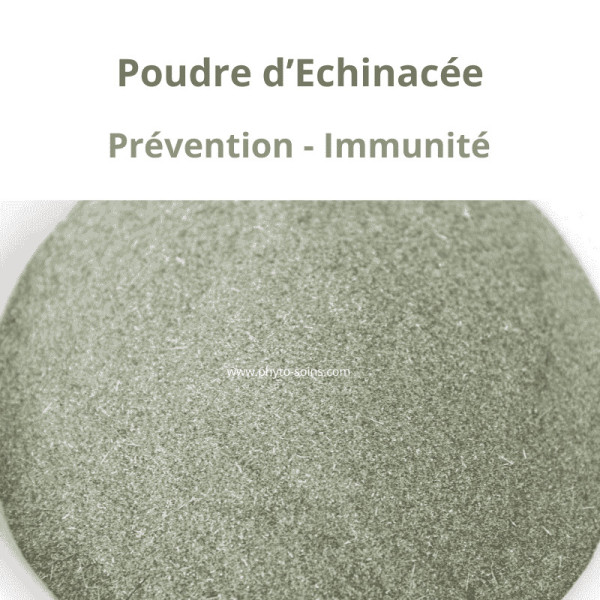 Poudre d'Echinacée pourpre (Échinacea purpurea) 100g - Phytofrance par phyto-soins