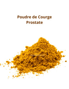 Poudre de pépins de Courge BIO (Curcubita pepo) -...