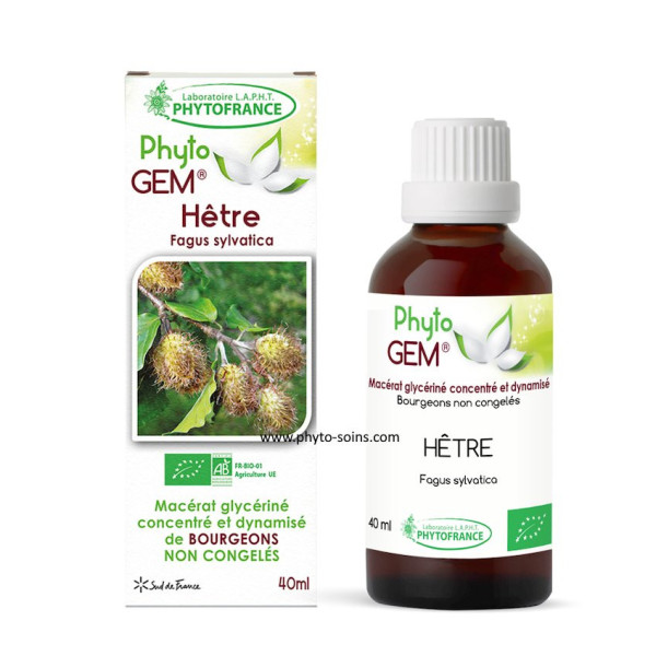 Macérat glycériné concentré de bourgeons de Hêtre BIO - Phytofrance par phyto-soins.com
