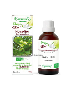 Macérat glycériné concentré de bourgeons de Noisetier BIO - Phytofrance par phyto-soins