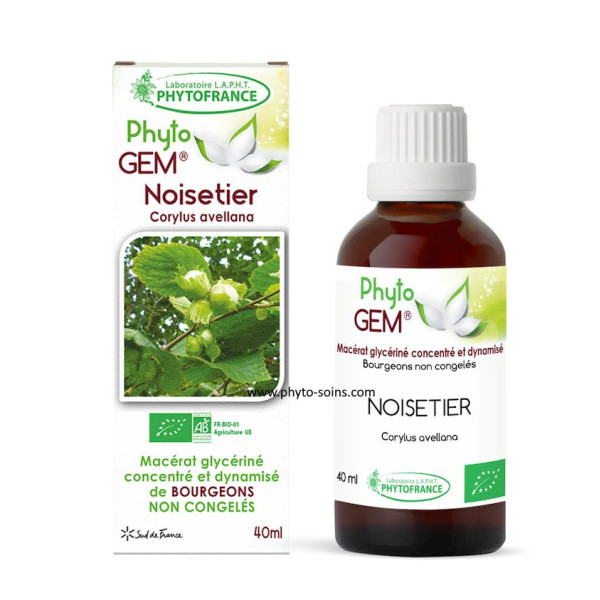 Macérat glycériné concentré de bourgeons de Noisetier BIO - Phytofrance par phyto-soins
