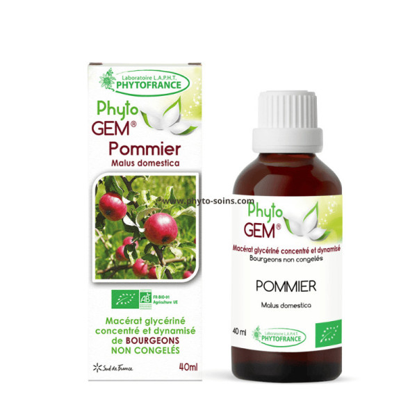 Macérat glycériné concentré de bourgeons de Pommier BIO - Phytofrance par phyto-soins