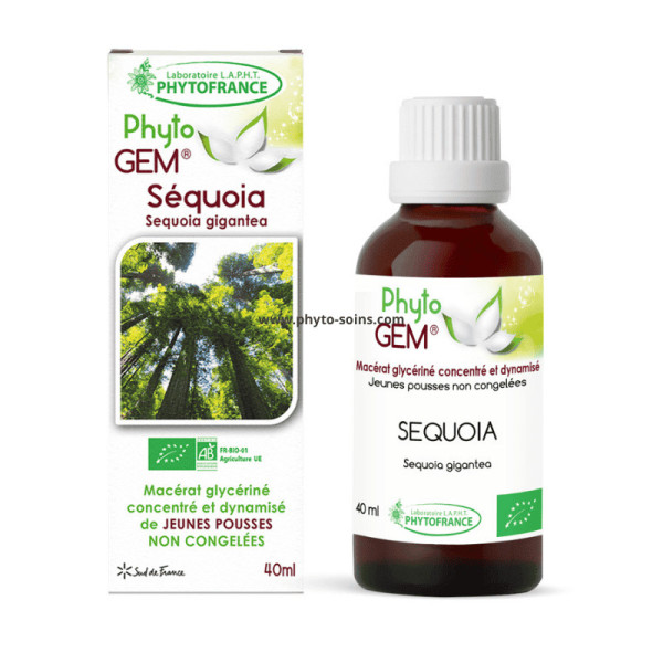 Macérat glycériné concentré de jeunes pousses de Séquoia BIO - Phytofrance