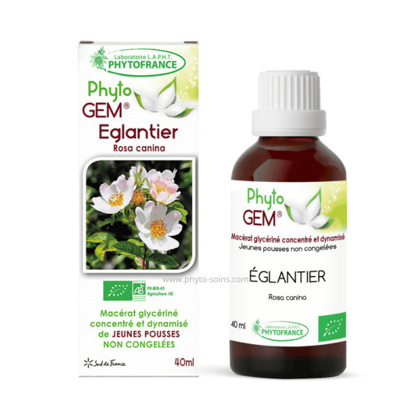 Macérat glycériné concentré de Églantier BIO - Phytofrance par phyto-soins