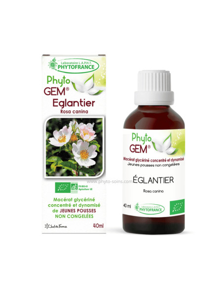 Macérat glycériné concentré de Églantier BIO - Phytofrance par phyto-soins