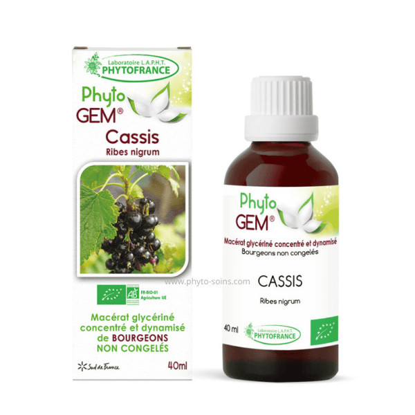 Macérat glycériné concentré de Cassis BIO - Phytofrance par phyto-soins