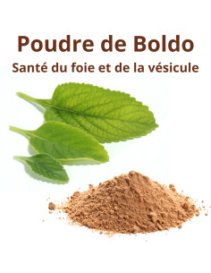 Boldo - Nettoyage du foie et de la vésicule - 100g de poudre