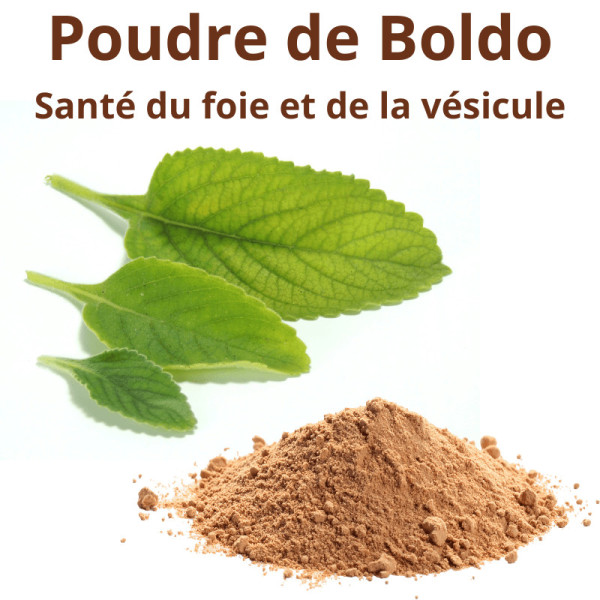 Boldo - Nettoyage du foie et de la vésicule - 100g de poudre