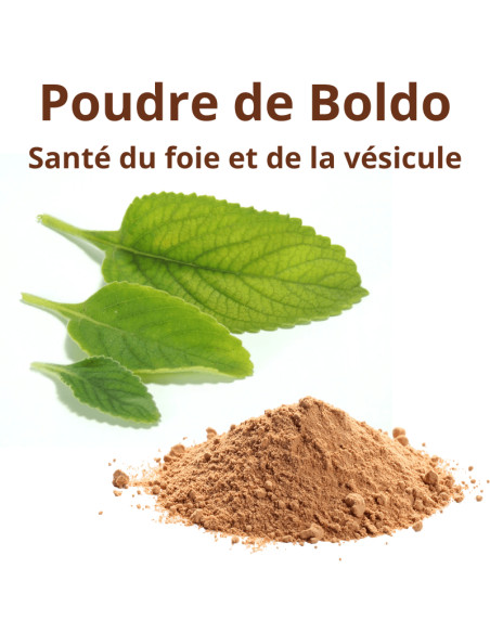 Boldo - Nettoyage du foie et de la vésicule - 100g de poudre