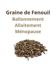 Fenouil de Provence semence - Ballonnements & Allaitement - 100g