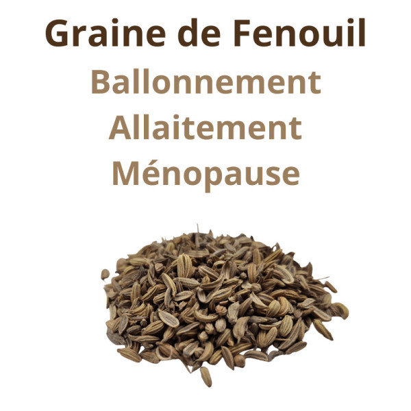 Fenouil de Provence semence - Ballonnements & Allaitement - 100g