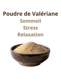 Valériane (Valeriana officinalis) - Sommeil & Stress - 100g de poudre