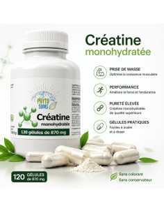 Gélules de Créatine monohydratée- Performance physique - Phyto-soins