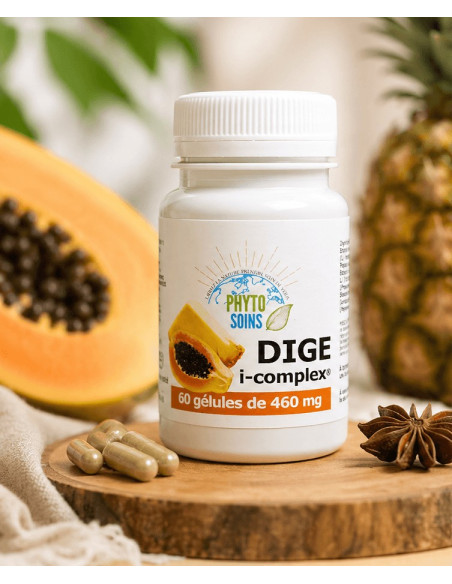 Gélules Dige i-complex- Confort digestif - 60 gélules cure de 20j