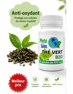 Thé vert BIO - Riche en anti-oxydant - Phyto-soins