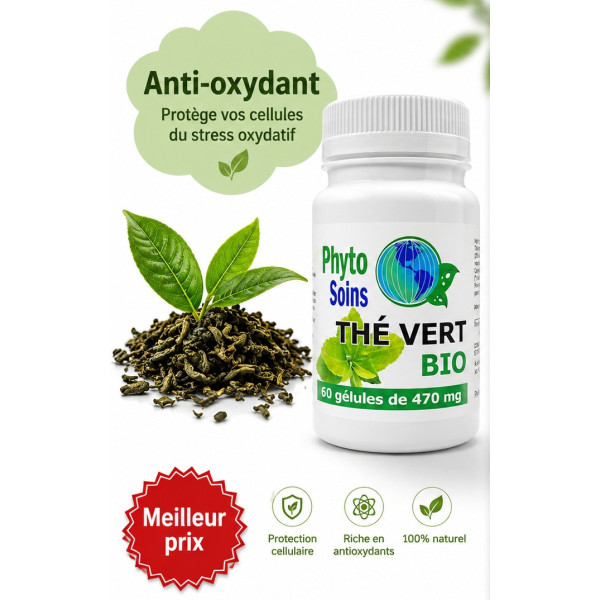Thé vert BIO - Riche en anti-oxydant - Phyto-soins