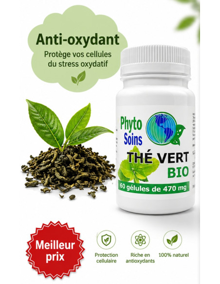 Thé vert BIO - Riche en anti-oxydant - Phyto-soins