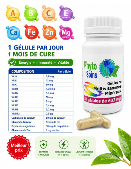 10 vitamines et 4 minéraux - 1 gélule par jour - 30 Gélules 655mg