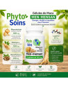 Maca et Ginseng - Santé Sexuelle - 80 Gélules 525mg - phyto-soins