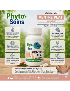 Ventre plat - Digestion et Gaz - Pré et Probiotiques - 90 gélules - Phyto-soins